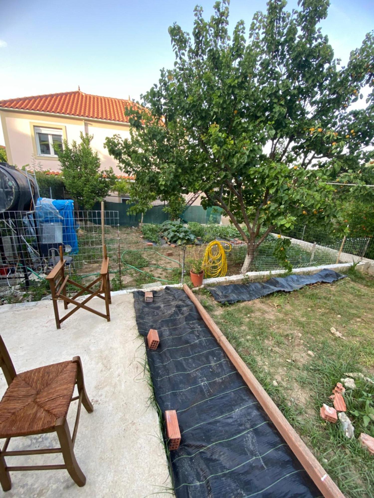 Garden Apartment Mjt Mytilíni Extérieur photo